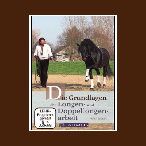 5_DVD_Grundlagen - Horst Becker