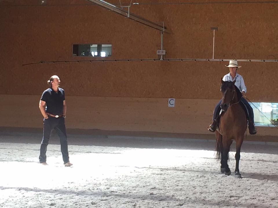 Reitunterricht bei Horst Becker