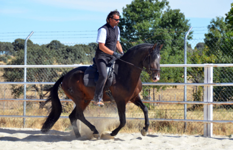 Horst Becker - Horst Becker