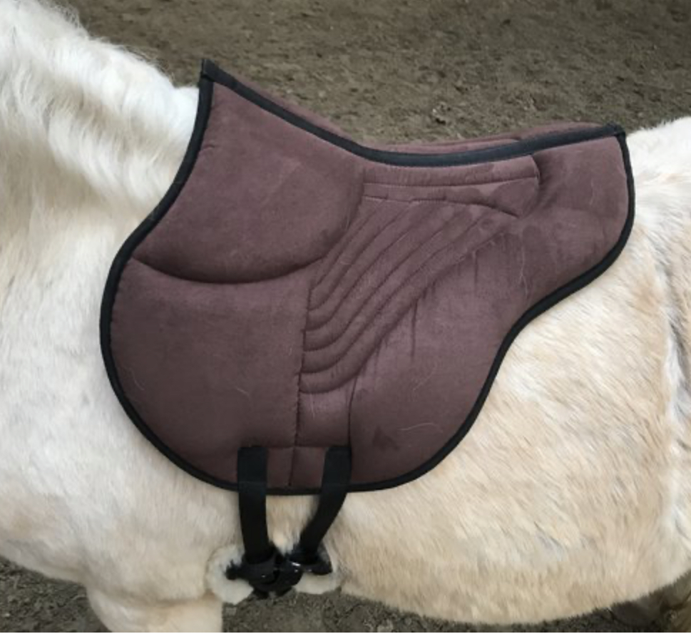 BodyMovePad Reitpad - Horst Becker