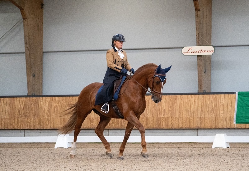 Lusitano 2 - Horst Becker