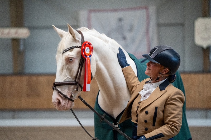 Lusitano Meister 2 - Horst Becker