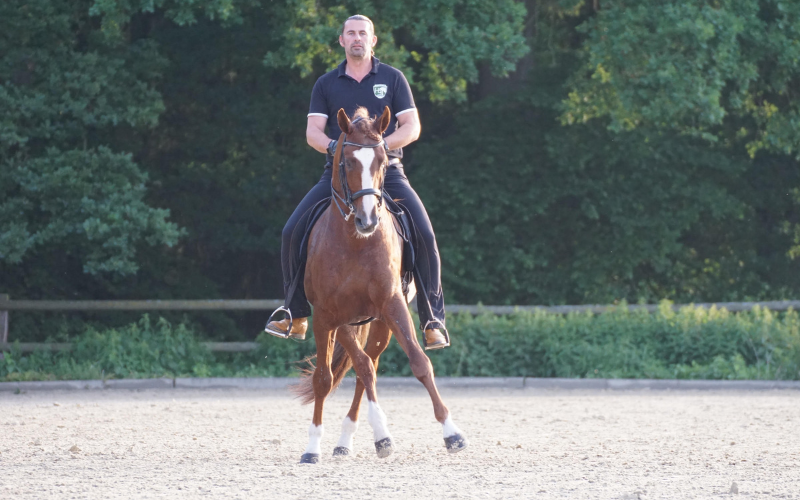 Traversale - Horst Becker