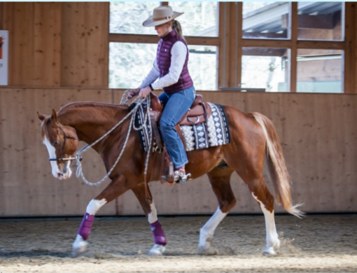 Western meets Classic – Workshop 4