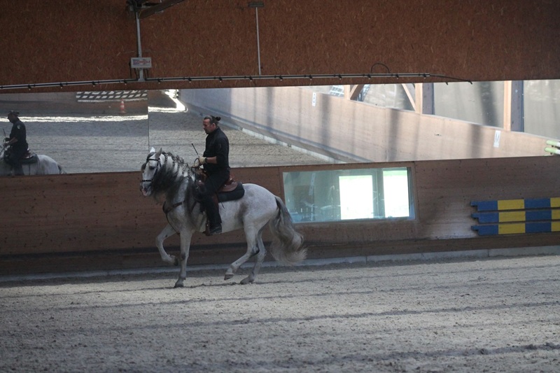 Morgenarbeit BEA - Horst Becker