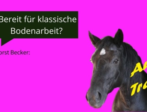 Bereit für klassische Bodenarbeit? Podcast von AUF TRAB