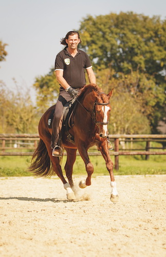 Becker-Pferdetrainer - Horst Becker Horst Becker